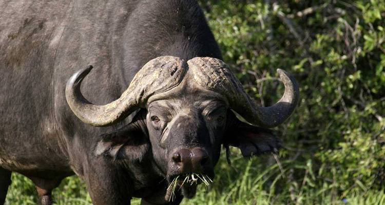 Kenya: 6-Day Sopa Lodges Circuits Safari - Jill Travel 1