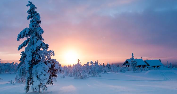 Saariselkä a la carta - V.O.S – Vision of Scandinavia 6