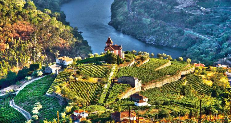 Douro Discovery Porto → Porto (2026) - Travel Marvel 1