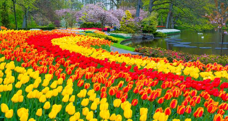 Printemps aux Pays-Bas et en Belgique Amsterdam → Amsterdam (2026) - Travel Marvel 1