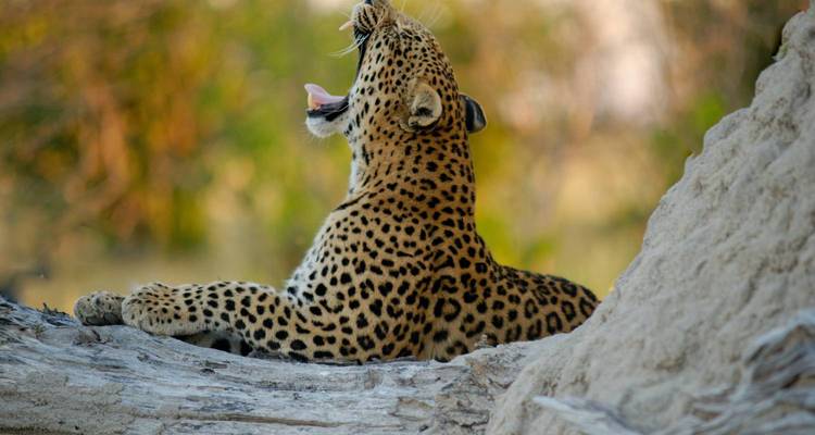Kenya: The Great Lakes and Maasai Mara Safari - Jill Travel 2