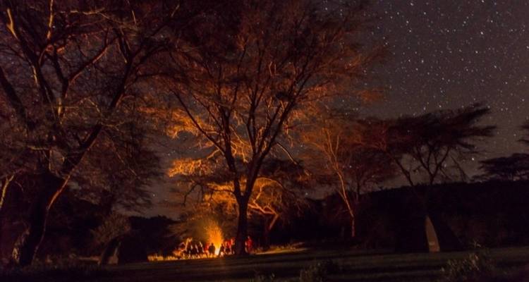 Kenya's Enchanting Safari & Romantic Beach Escape - Nature Safari 6