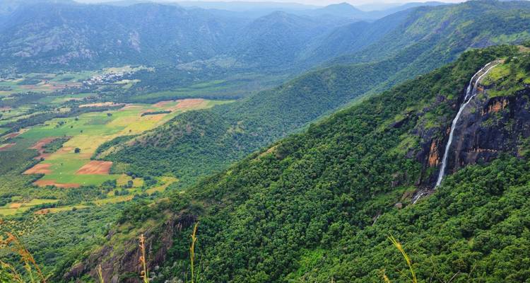 Au départ de Cochin : Circuit de 4 jours à Munnar et Alleppey en bateau à moteur - Yoganshi Travel 2
