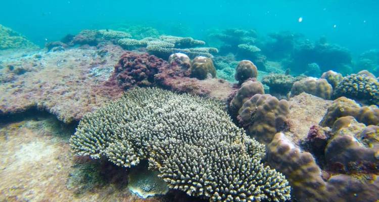 Phu Quoc: Excursión de un día a 3 islas en barco con teleférico y experiencia en el parque acuático Aquatopia en Phu Quoc | Vietnam - Open Asia Travel  4