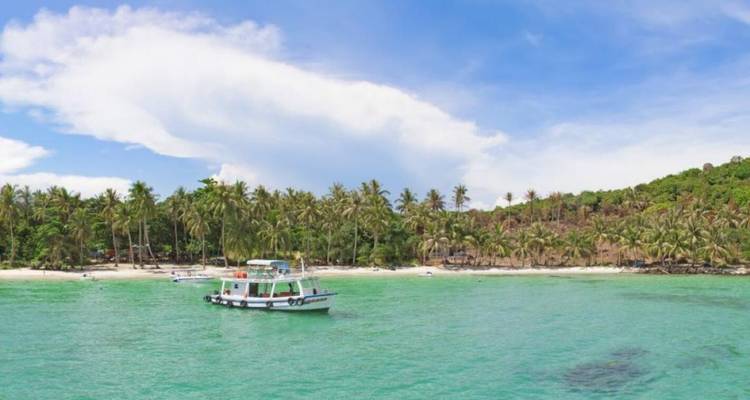 Bateau flottant près d'une plage tropicale bordée de palmiers sous un ciel dégagé.