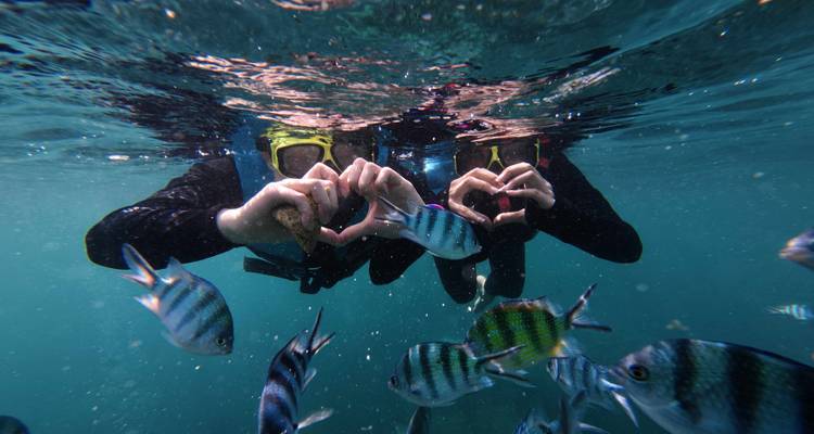 Snorkelaars maken hartjes met hun handen tussen kleurrijke tropische vissen onder water.