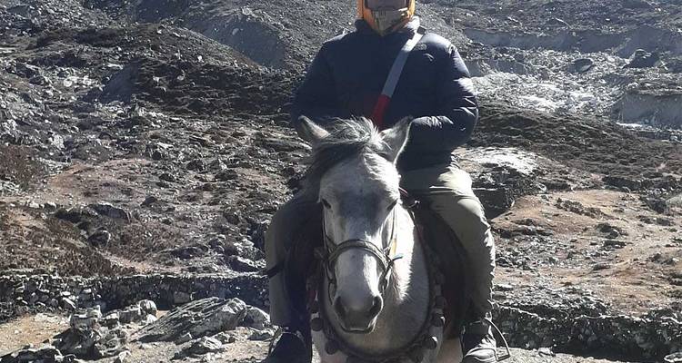 Person, die auf felsigem Gelände auf einem Pferd reitet.