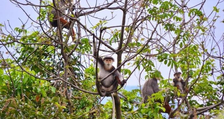 Por la mañana Grupo pequeño a las Montañas de Mármol - y más | Danang, Vietnam - Open Asia Travel  8