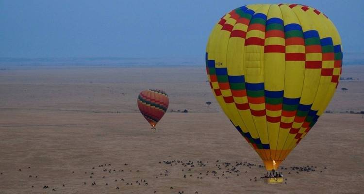 Safari económico de 6 días Maasai Mara-Nakuru-Amboseli, Kenia - Jill Travel 3