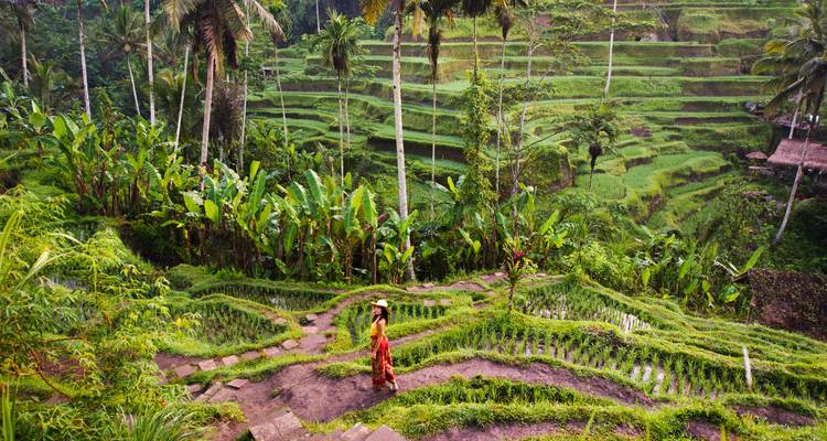 Escapade à Bali : Kuta et Ubud (8 jours et 7 nuits) - WOLO Experience 6