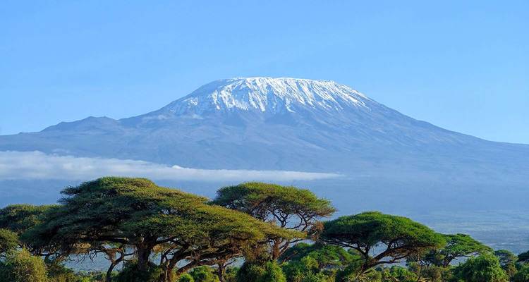 Desde Nairobi : Parque Nacional Amboseli 1 día de safari - JOYINA SAFARIS AFRICA 6