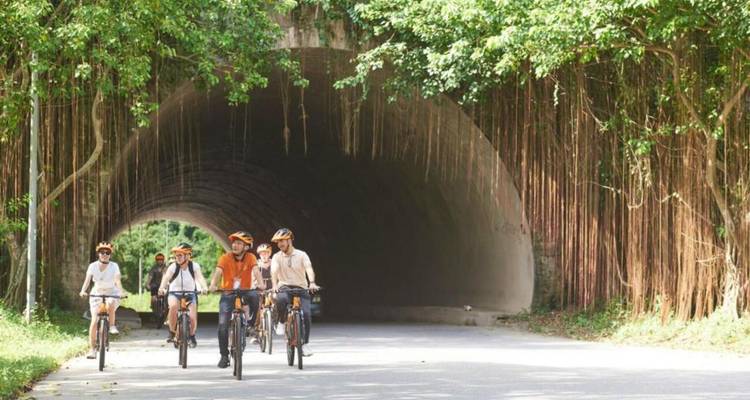 Groep fietsers die door een met bomen overdekte tunnel rijdt.