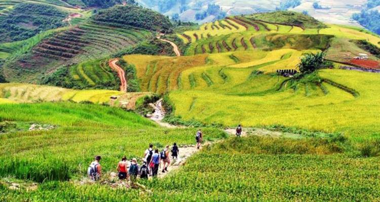2 Jours 1 Nuit Sapa avec Trekking - Nuit en Homestay Ethnique | Transferts aller-retour en Bus Dormant depuis Hanoi | Vietnam - Open Asia Travel  2