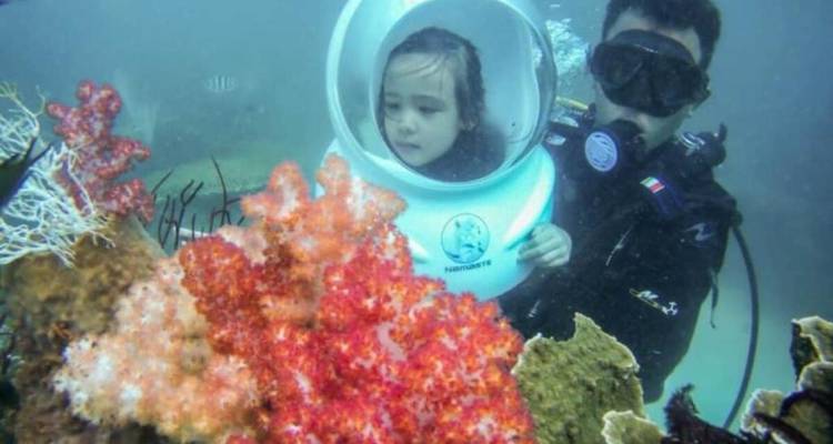 Phu Quoc: Excursión de un día a 4 islas en lancha rápida con teleférico y experiencia en el parque acuático Aquatopia en Phu Quoc | Vietnam - Open Asia Travel  7
