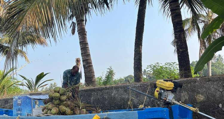 Viaje a Rajastán y Kerala - BeMetravels  4