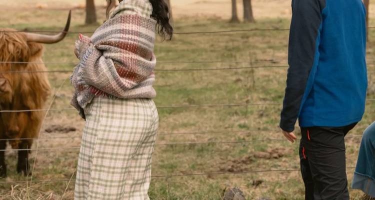 Los visitantes envueltos en mantas observan una vaca Highland al otro lado de una cerca de alambre en un prado cubierto de hierba.