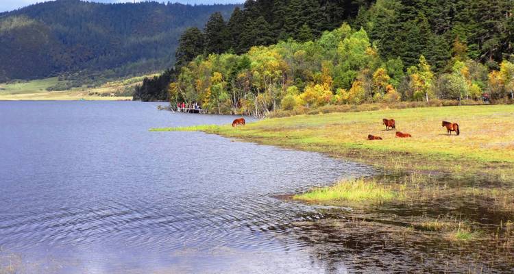 Yunan:  Dali, Shangri-La, Lijiang Light Hiking Mini Group Tour 7D - Top China Travel 8