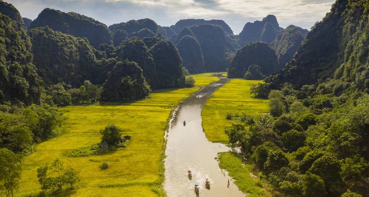 Vue aérienne de petites barques sampan naviguant le long d'une rivière sinueuse à travers des rizières dorées et d'imposantes falaises karstiques à Ninh Binh.