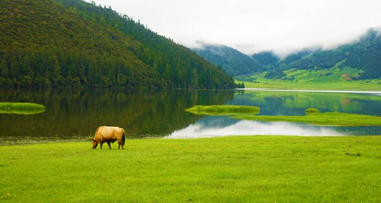 Yunnan: Kunming, Dali, Shangri-la, Lo más destacado de Lijiang en minigrupo 7D - Top China Travel 8