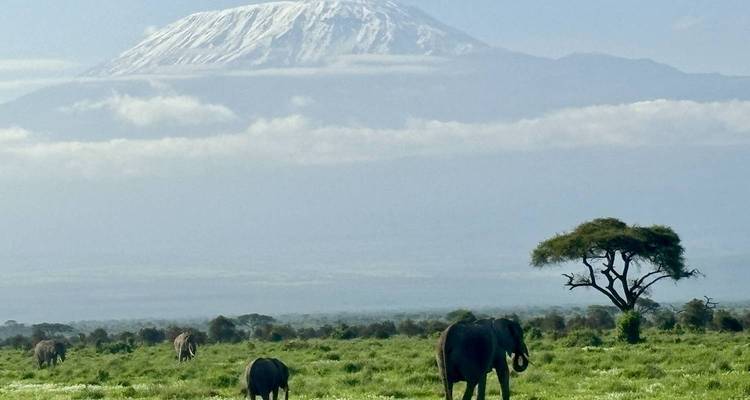 Kenia: 3 días en Masai Mara en Land Cruiser - Jill Travel 6