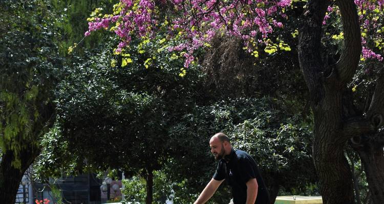 Homme poussant une bicyclette sous des arbres en fleurs.