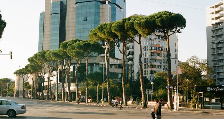 Rue dans une ville moderne avec des arbres distinctifs and des bâtiments modernes.