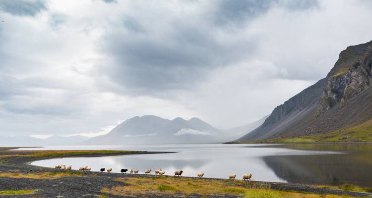 Viaje de 5 días por Islandia - Snaeland Travel 8