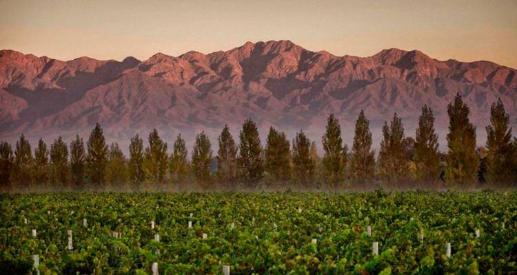 4 Días Descubriendo Mendoza: Tierra de Vinos - Signature DMC 2