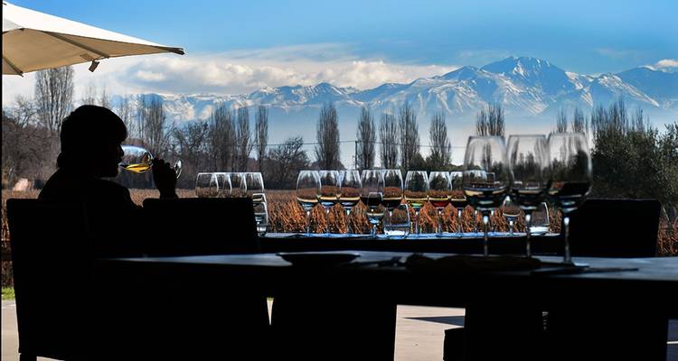 4 Días Descubriendo Mendoza: Tierra de Vinos - Signature DMC 3
