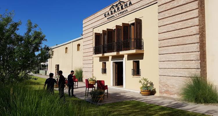 4 Días Descubriendo Mendoza: Tierra de Vinos - Signature DMC 5