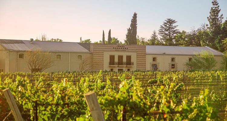 4 Días Descubriendo Mendoza: Tierra de Vinos - Signature DMC 6