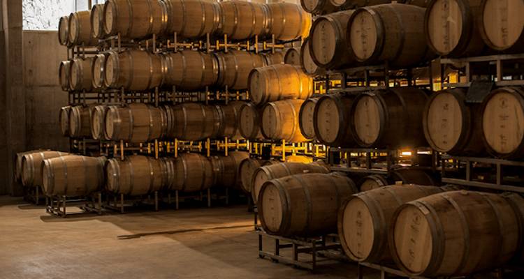 4 Días Descubriendo Mendoza: Tierra de Vinos - Signature DMC 7