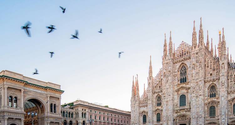 De spitsen van de Duomo van Milaan rijzen op tegen een heldere hemel terwijl duiven erover vliegen.