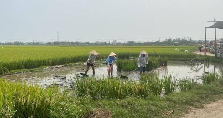 Excursiones en Vespa por Hoi An: Lo más destacado y las joyas ocultas de Hoi An con excursión en barco cesta | Hoi An, Vietnam - Open Asia Travel  8