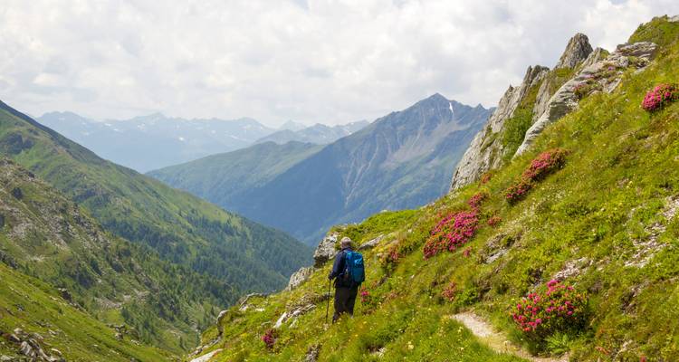 Cruzar los Alpes de Kitzbühel a Tirol del Sur individualmente (7 días) - ASI Reisen 7