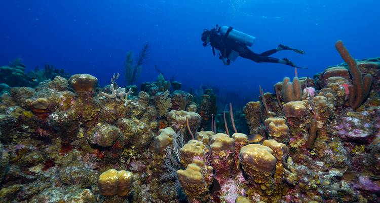 Belize: A Tropical Hidden Paradise with Enchanting Maya Heritage - 4 Days - Receptivo Aborigen Tours 1
