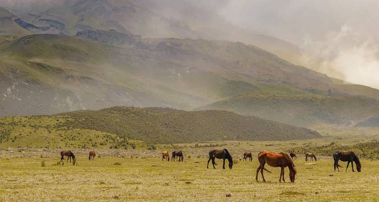 ECUADOR : Volcan Cotopaxi - OneSeed Expeditions 6