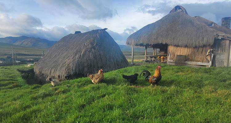 ECUADOR : Volcan Cotopaxi - OneSeed Expeditions 7
