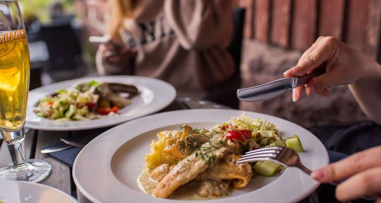Close-up of two plates of food with people dining