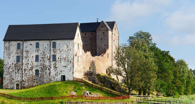 Historic stone castle with trees around it