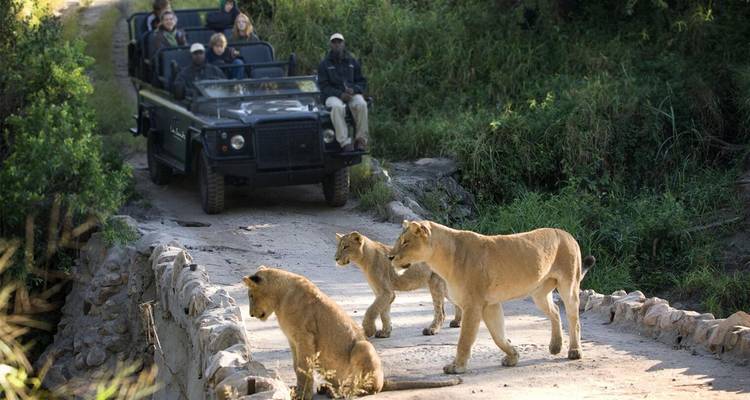 【South Africa, Zambia, and Zimbabwe】10-Day Tour Package with Pilanesberg National Park & Victoria Falls - Delightful Travel 4