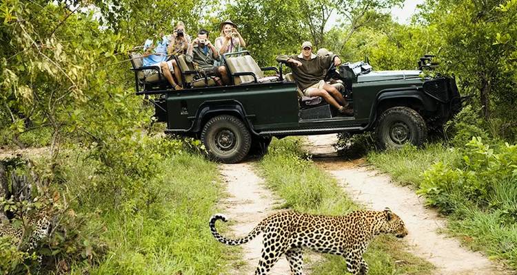 【South Africa, Zambia, and Zimbabwe】10-Day Tour Package with Pilanesberg National Park & Victoria Falls - Delightful Travel 6