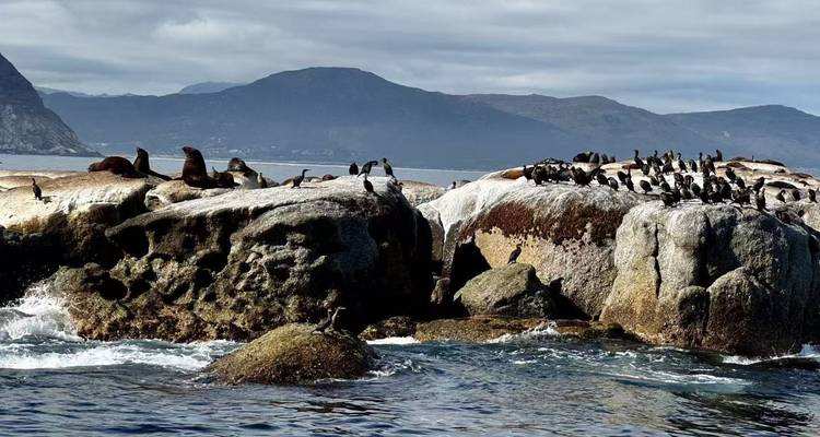 【South Africa, Zambia, and Zimbabwe】10-Day Tour Package with Pilanesberg National Park & Victoria Falls - Delightful Travel 10