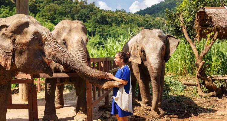 Northern Thailand Chiang Rai- Thaton- Pai- Mae Hong Son- Chiang Mai 10 days 9 nights - Asia Focus Travel 7