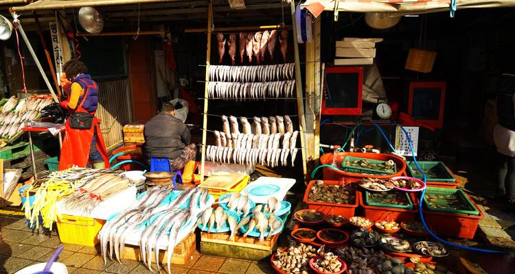 Highlights Tour from Seoul to Busan (Small Group 4-12Pax) - Odynovo 7