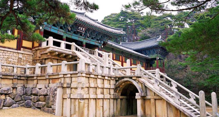 Highlights Tour from Seoul to Busan (Small Group 4-12Pax) - Odynovo 3