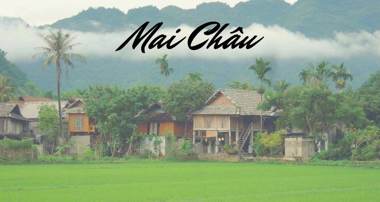 Landscape with houses and rice fields displaying text 'Mai Châu'