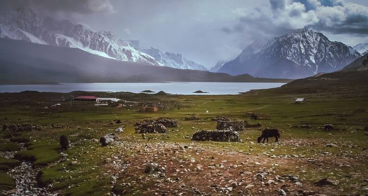 Festival de Polo de Shandur - Gypsy Traces and Tours 5
