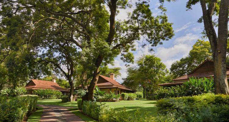 Aventure exclusive en Tanzanie - Professional Safari Africa 4