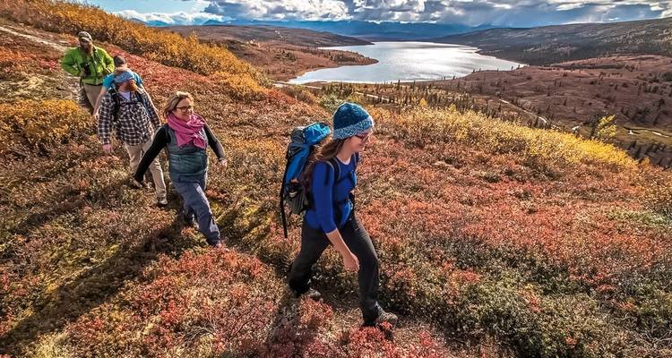 Denali Backcountry Lodge - DERTOUR 4